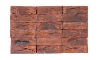 Кирпич облицовочный Engels Limburgs oranje bont