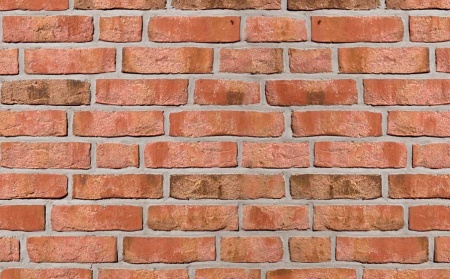 Кирпич Roben Moorbrand lehm-bunt