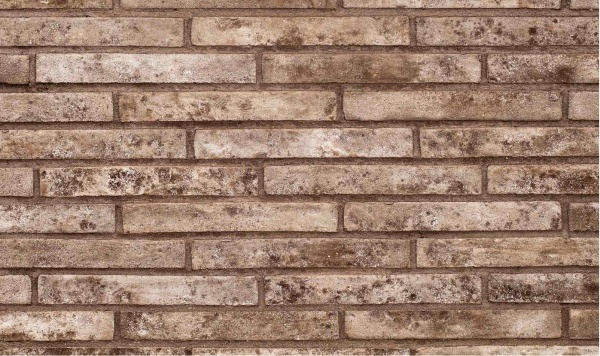 Кирпич ТАНДЕМ Плутонъ